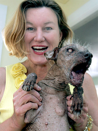 Ugliest Dog.jpg